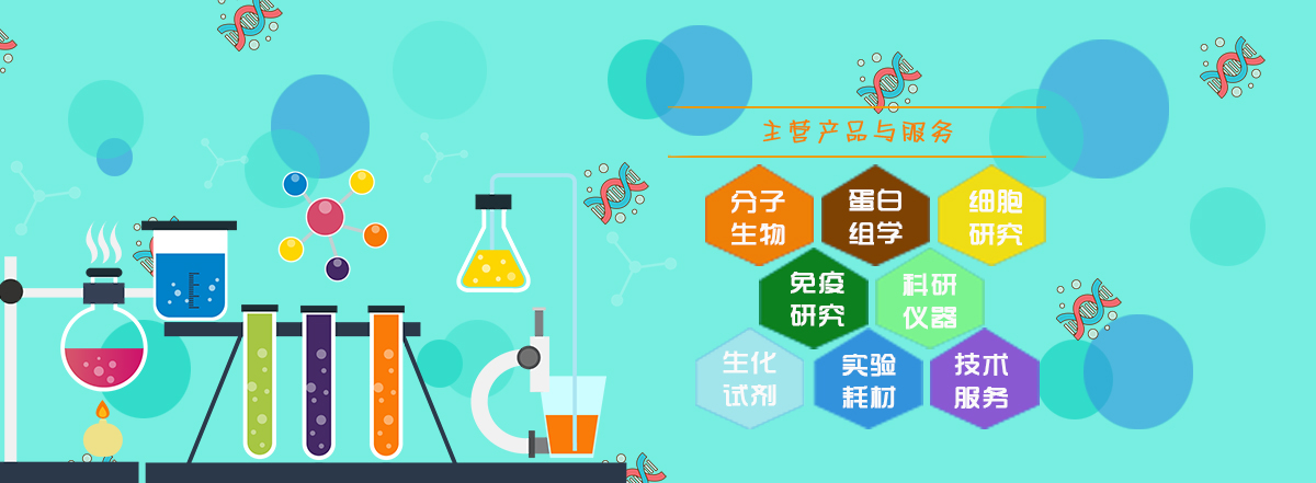 轮播图