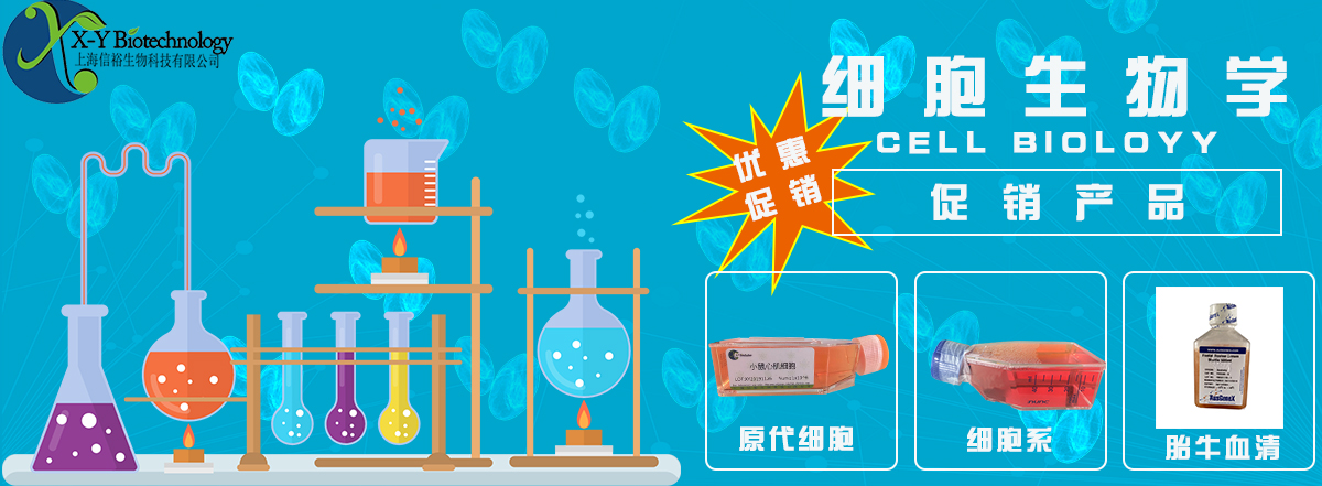 轮播图