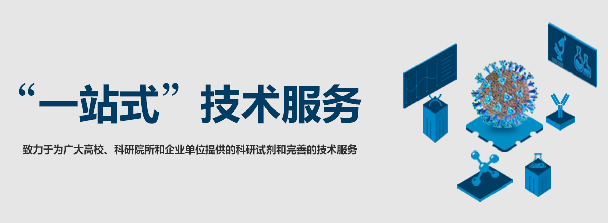 轮播图