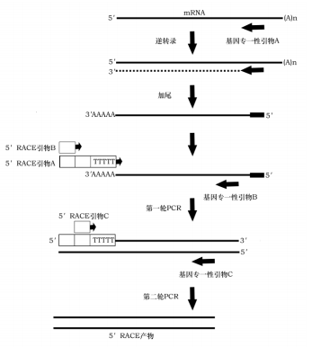 image 2022061701432991464